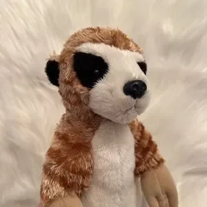 Webkinz Toys Ganz Webkinz Classic Meerkat No Code Poshmark